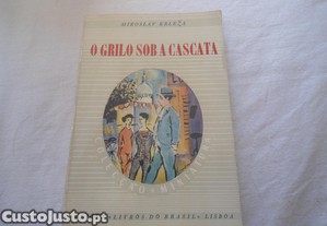 imagem_8