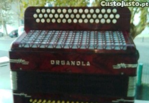 imagem_8