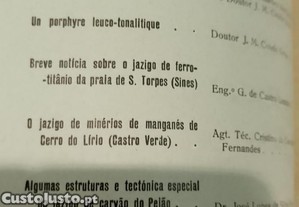 imagem_9