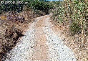 imagem_5