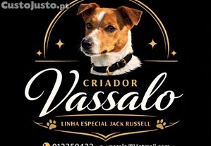 imagem_1