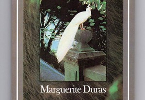 O amante (Marguerite Duras)