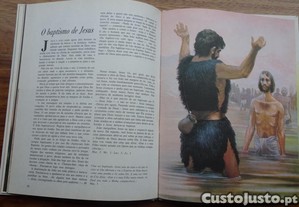imagem_6