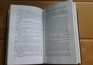 imagem_7