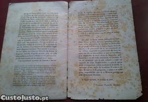 imagem_12