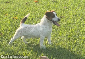 imagem_2