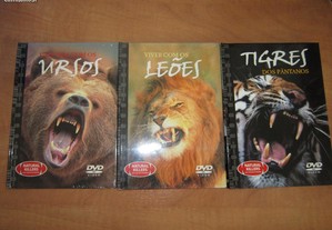 DVD animais