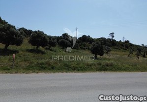 imagem_9