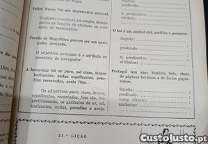 imagem_4