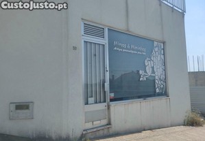 imagem_1