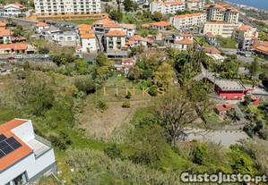 imagem_22