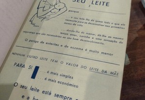 imagem_7