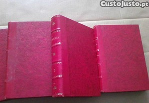 imagem_2