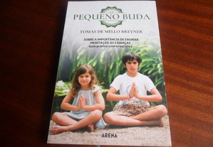 "O Pequeno Buda" de Tomás de Mello Breyner - 1ª Edição de 2016