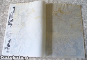 imagem_3