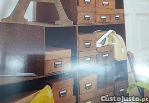 imagem_5