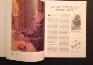 imagem_4