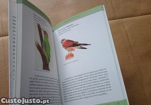 imagem_5
