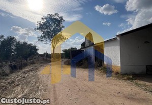 imagem_13