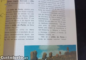 imagem_4
