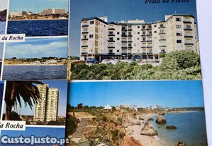 imagem_3