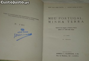imagem_4