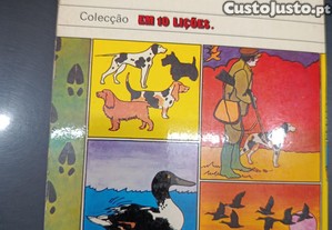 imagem_8