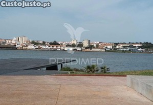 imagem_17