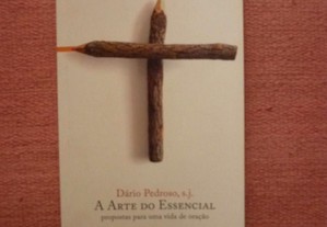 Dário Pedroso, A arte do essencial