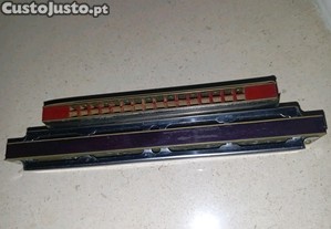 imagem_2