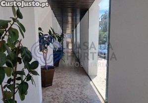 imagem_28