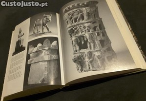 imagem_8
