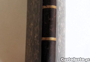 imagem_3