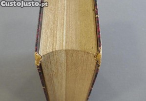 imagem_5