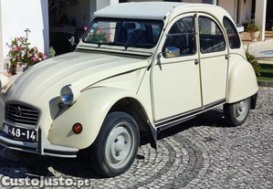 imagem_8