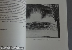 imagem_8