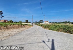 imagem_12