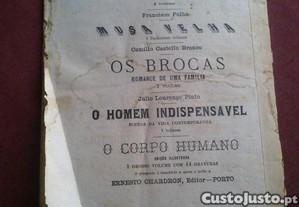 imagem_17