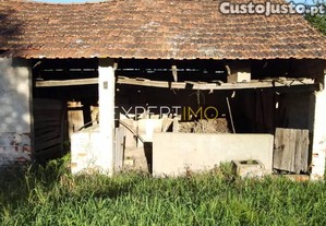 imagem_12