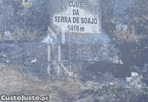 imagem_35