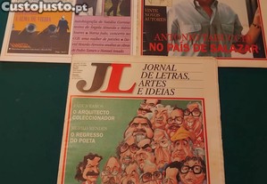 imagem_8