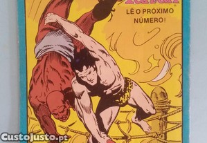 imagem_8