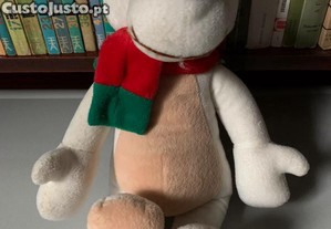 imagem_1