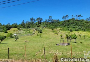 imagem_25