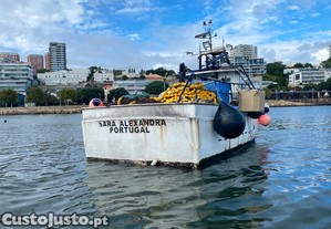 imagem_7