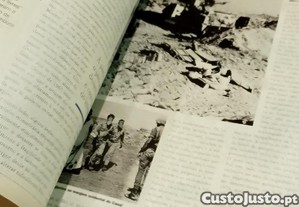 imagem_4