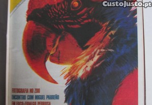 imagem_2