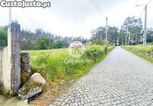 imagem_14