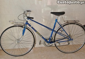 Bicicleta Mista