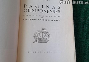 imagem_4